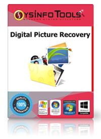 Digital Picture Recovery