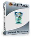 Deleted File Recovery