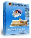 Digital Picture Recovery