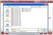 Select the PDF file which tou want to protect.