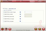 At this step select the desired PDF split option. By moving cursor to the blue icon in front of every option, 
                 full description containing working of the option is displayed.