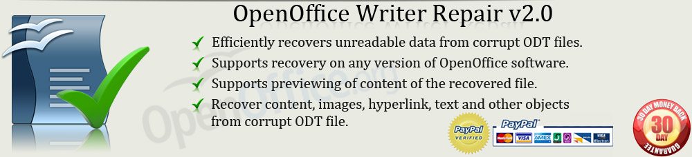 Writer File Repair