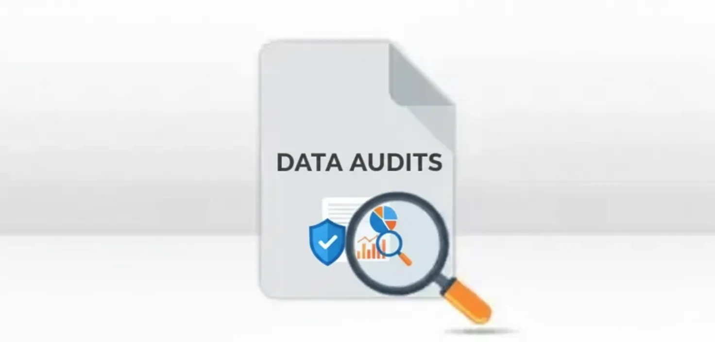 data-audit.png