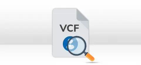 Duplicate vCard Searches