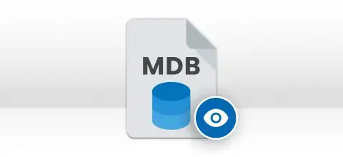 mdb-file-viewer