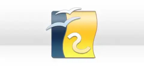 Software Crash