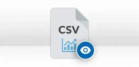 Preview CSV File Contact Details