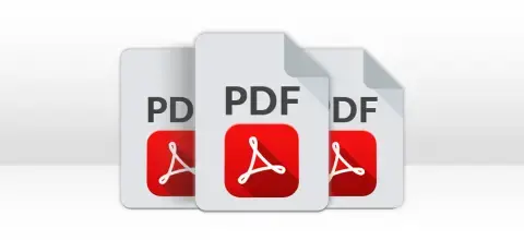 Break a Large PDF into Smaller PDF Files