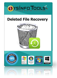 Deleted File Recovery