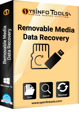 sysinfo Removable Media Data Recovery box